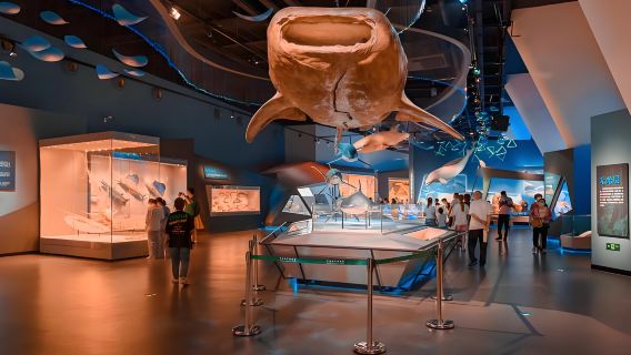[Must-Visit in Tianjin!] National Maritime Museum of China + Dongjiang Bay Seaside Park Day Tour - Chinese Small Group