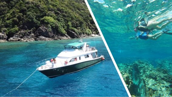 [Edição limitada de verão] <Saída de Naha> Aproveite o dia inteiro nas deslumbrantes Ilhas Kerama com águas cristalinas! Tour de snorkeling de barco