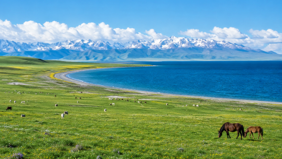Yining departure | Sayram Lake in-depth lake loop + Guozigou Valley + seasonal lavender private 1-day tour