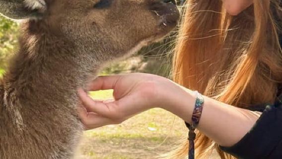 Baby Animals, Boomerangs & BBQ Lunch