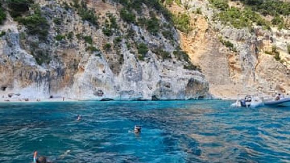 BOAT TOUR OF THE GULF OF OROSEI