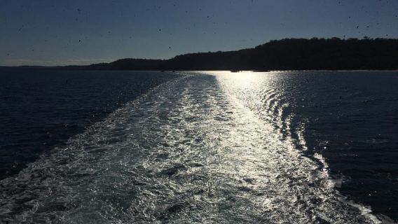Canberra Day Tour. All major Attractions, with free entry.