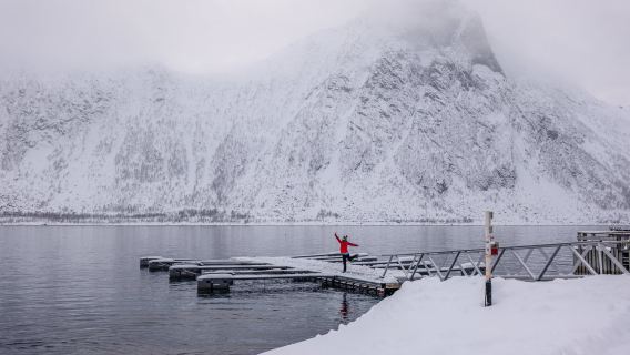 Lawatan sehari pergi-balik Tromso ke Senja Norway [perkhidmatan berbahasa Cina, pakej berkumpulan atau sewaan peribadi] pergi-balik