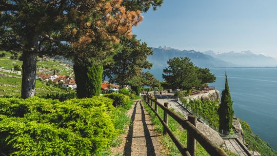 From Zurich: Swiss Riviera, Montreux & Chillon Castle Private Tour