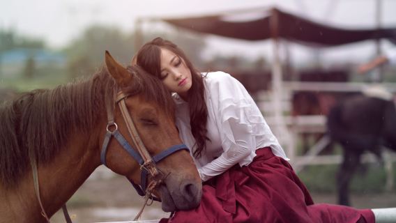 海口旅行写真【ドライバーとガイド + 旅行写真 + 結婚式の写真、航空写真、マイクロフィルム + メイクアップと衣料品&アクセサリー+ 旅程のカスタマイズ + 人数無制限】