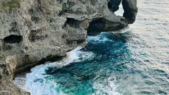 沖繩北部一日遊·美麗海水族館【9人/巴士團】可飯店接駁可贈票