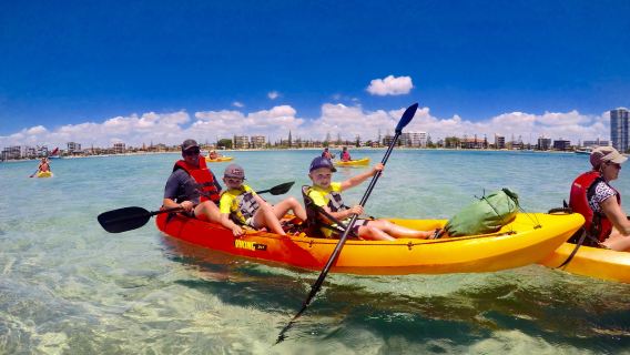 Gold CoastTours