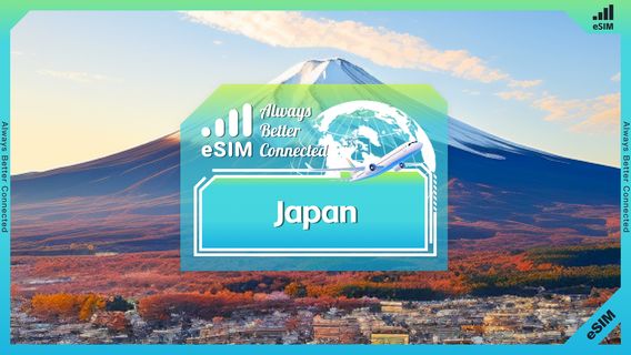 TokyoSIM Cards