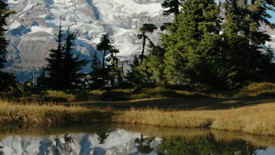 Mt. Rainier: All-Inclusive Small-Group Day Trip from Seattle