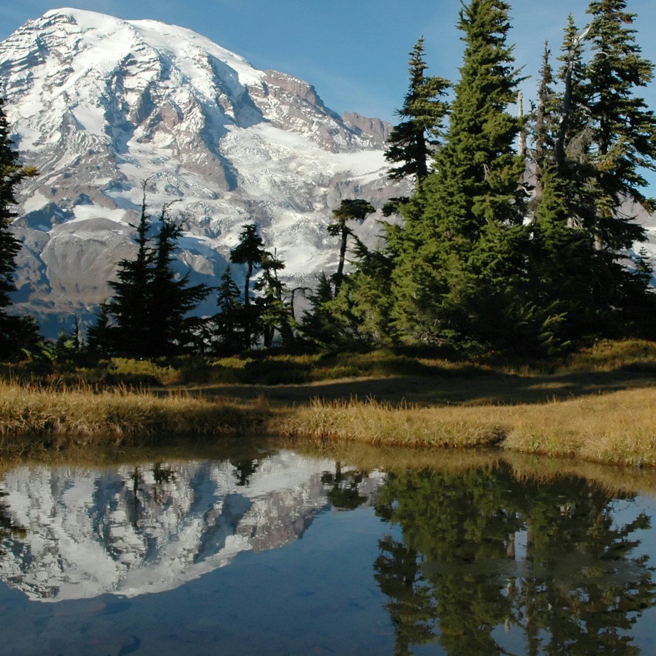 Mt. Rainier: All-Inclusive Small-Group Day Trip from Seattle