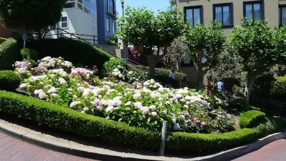 美國舊金山金門公園+九曲花街+漁人碼頭+斐洛里莊園一日遊