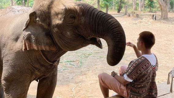 Secret Elephant Camp | Secret Elephan | Sticky Waterfall | Depart from Chiang Mai