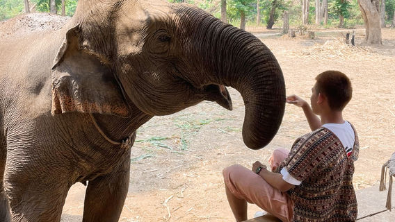 Mae TaengTours