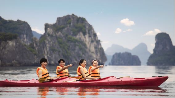 From Halong Cruise Port: BEST Day Cruise Discover the Pristine Beauty of Bai Tu Long Bay