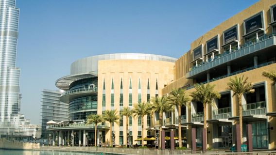 From Abu Dhabi Private Tour: Dubai Full Day City without Lunch