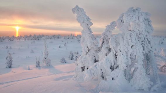 Hike in Riisitunturi National Park