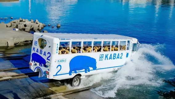 Mt. Fuji Twin Lakes KABA Bus Tour| Lake Kawaguchi & Lake Yamanaka & Oshino Hakkai Day Tour