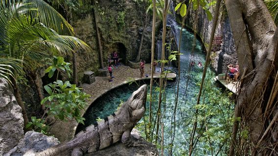 Xcaret 1 giorno da Cancun