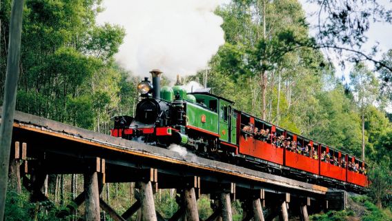 Melbourne Puffing Billy Dampfzug und Penguin Island Tagesausflug nach Phillip Island