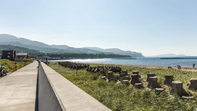 From Sapporo: Private Day Trip to Otaru