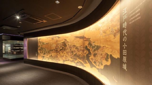 Odawara: visita guidata alla scoperta del castello e della città di Odawara