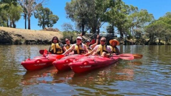 Perth: Swan River Kayak, Wine & Dine Experience