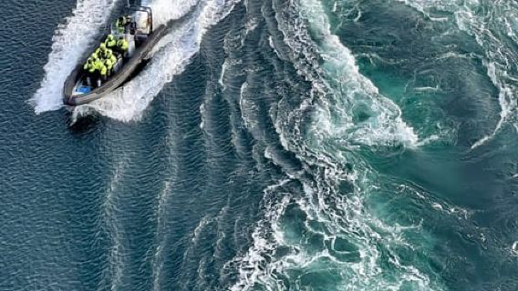 Будё: Сафари на надувных лодках Сальтстраумен