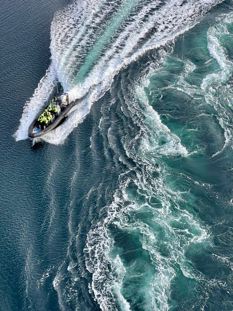 Bodø: Saltstraumen RIB Safari