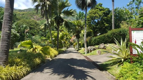 Victoria: Guided City Tour and Botanical Gardens Entry
