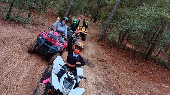 Tampa: tour avventurosi in quad