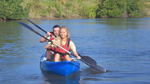 Negombo: Guided Kayaking Tour in the Lagoon