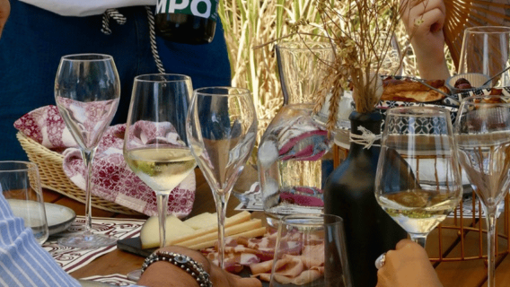 Visita a una bodega boutique con cata de vinos y comida en Bolonia