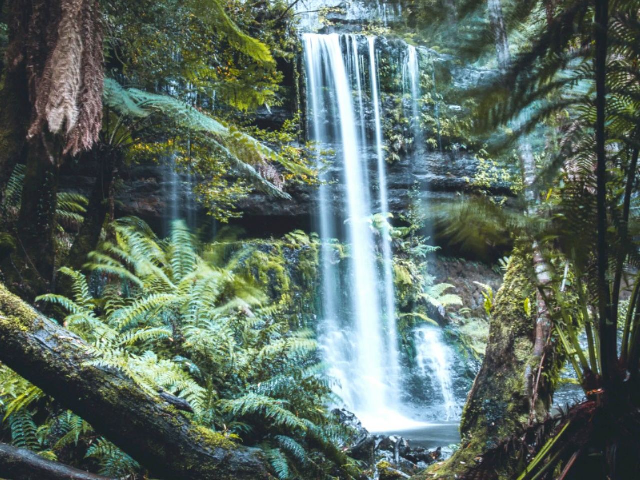 塔斯馬尼亞荷伯特費爾德山國家公園+皇家植物園一日遊