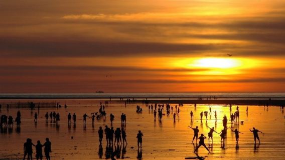 高美濕地海岸采風美食尋奇