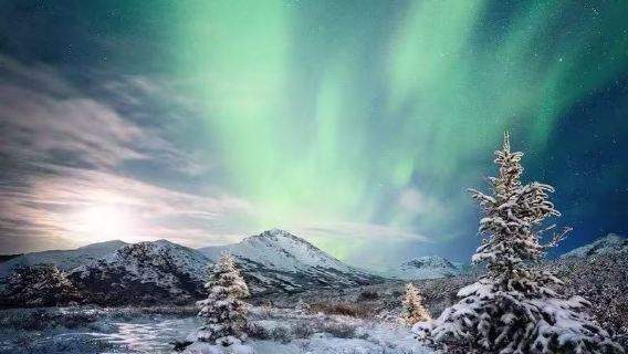 美國費爾班克斯經典極光＋珍娜溫泉一日遊【中文司機＋行程訂製】