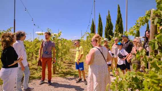Tagesausflug von Florenz in Italien nach Siena, Chianti-Weingut und Monteriggioni