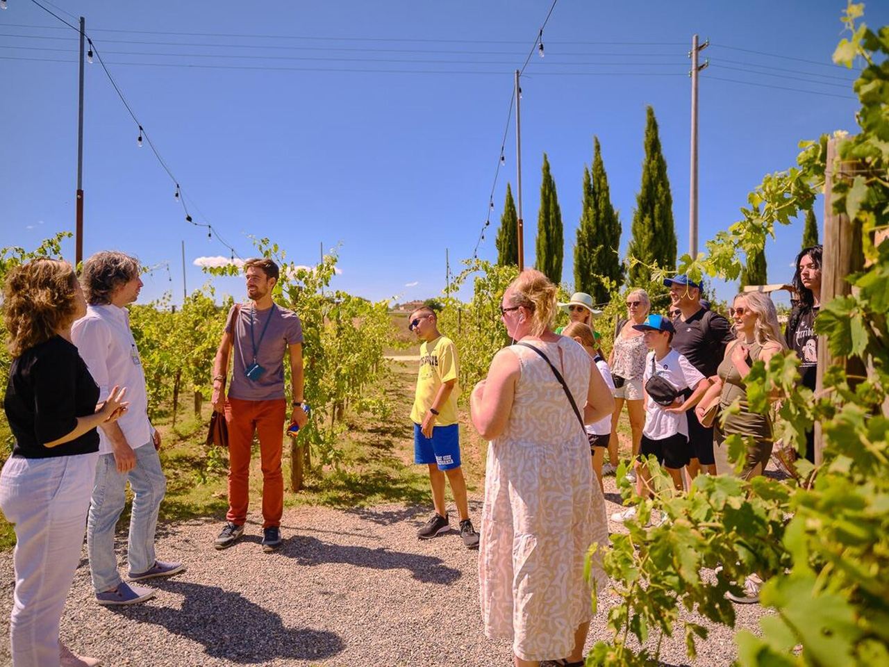 Tour di un giorno da Firenze: Siena, cantine del Chianti e Monteriggioni