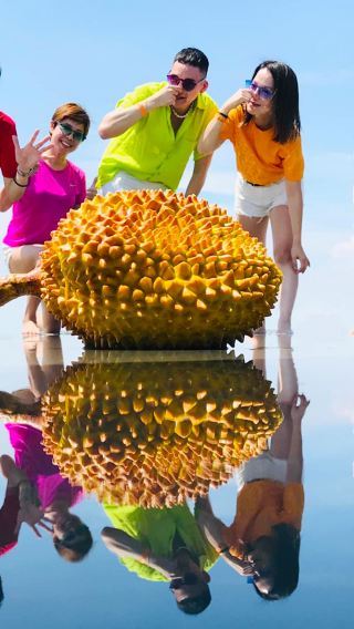 Kuala Lumpur sky mirror + monkey hill + sea eagle + firefly + blue tears private chartered tour - including tickets