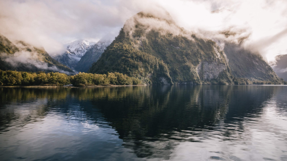 New Zealand Doubtful Sound / Patea Nature Eco Cruise 1-day Tour (Including Optional Point of Departure Transfer)