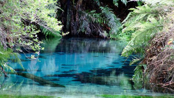 紐西蘭·懷卡托哈比人村+螢火蟲洞+藍泉小九寨溝奇幻一日遊