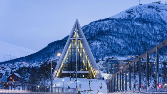 挪威全境|商務考察|展會翻譯|旅遊陪同|醫學翻譯|名校導覽|研學考察|中文/英文|其他語言（請提前諮詢顧客服務中心）