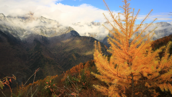 雲中牧場戶外徒步一日遊