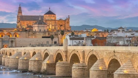 Mosque-Cathedral of Córdoba: Entry Ticket + Audio Guide