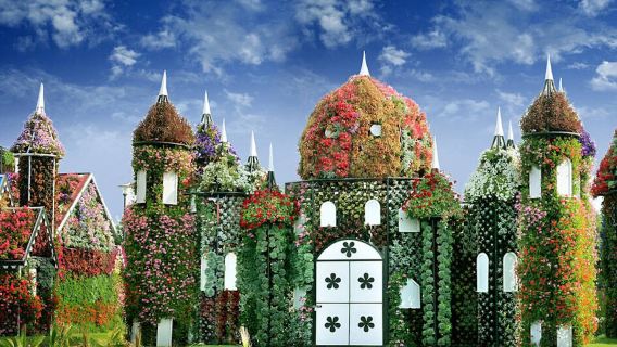 杜拜家庭娛樂與自然風光一日遊