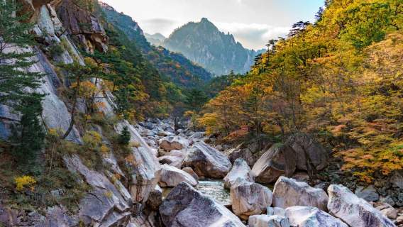 韓國首爾出發｜雪岳山國立公園+洛山寺· 專車一日遊