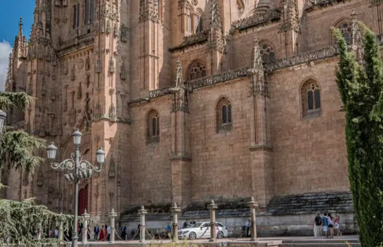 薩拉曼卡青蛙+新主教座堂+羅馬古橋+貝殼之家【包車一日遊】