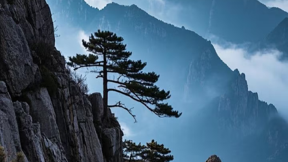 [산시성 핑야오] 중국어/영어/프랑스어/러시아어/한국어/독일어 등 소수어 가이드/통역/현지 가이드|비즈니스 전시회 통역/City walk/관광지 투어/관광지 가이드