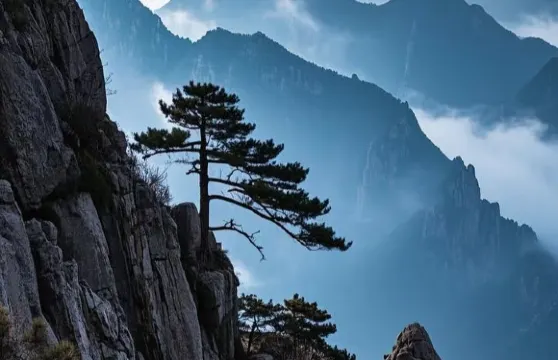 【山西平遙】中/英/法/俄/韓/德語等小語種導遊/翻譯/地陪|商務展會翻譯/City walk/景點遊玩/景區講解