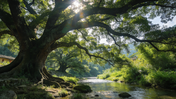 Nanjing Yunshuiyao - Heguilou Route