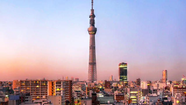 Excursión de un día en servicio de coche privado con conductor por Tokio [Lugares populares de la ciudad|Traslado al hotel|Los lugares de interés del itinerario se pueden personalizar.